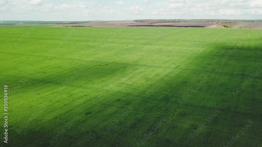 Aerial view industrial crops fields growing fresh produce outdoor under blue sky rural farming countryside Aerial view industrial crops fields growing fresh produce outdoor under blue sky rural farming countryside