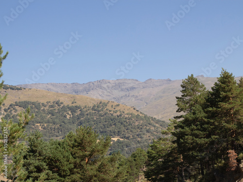 mountain landscape with trees in Sierra Nevada (Spain) 