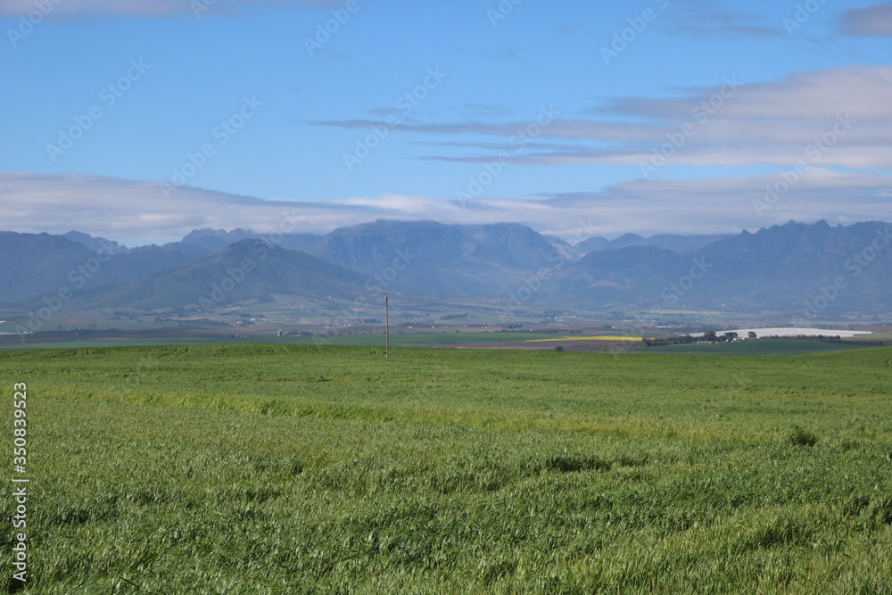 Western Cape landscape