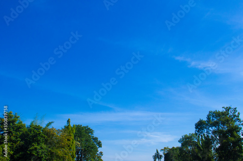 Beautiful sky with tree