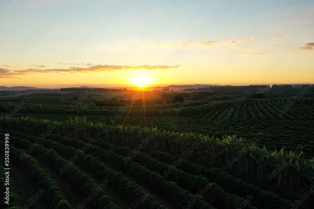 Panoramic view of sunset agriculture field with the beauty skyline. Rural life scene. Panoramic view of sunset agriculture field with the beauty skyline. Rural life scene.