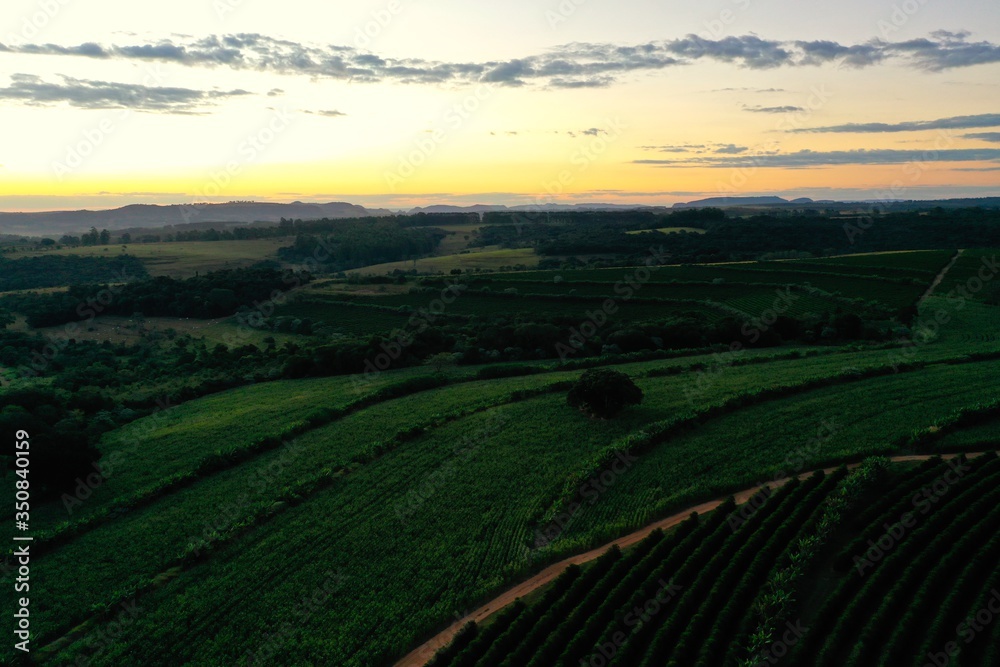 Panoramic view of sunset agriculture field with the beauty skyline. Rural life scene. 