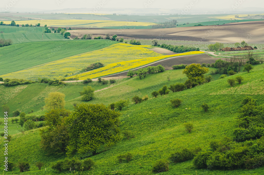 Rural spring landscape