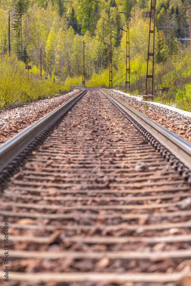 Railroad track between green trees leading to the horizon. Selective focus.