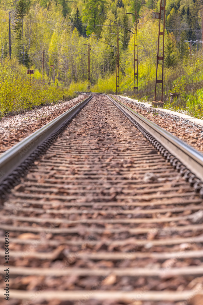 Obraz premium Railroad track between green trees leading to the horizon. Selective focus.
