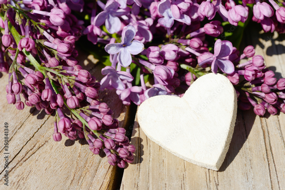 white heart and flowering common lilac lying on wood in springtime white heart and flowering common lilac lying on wood in springtime