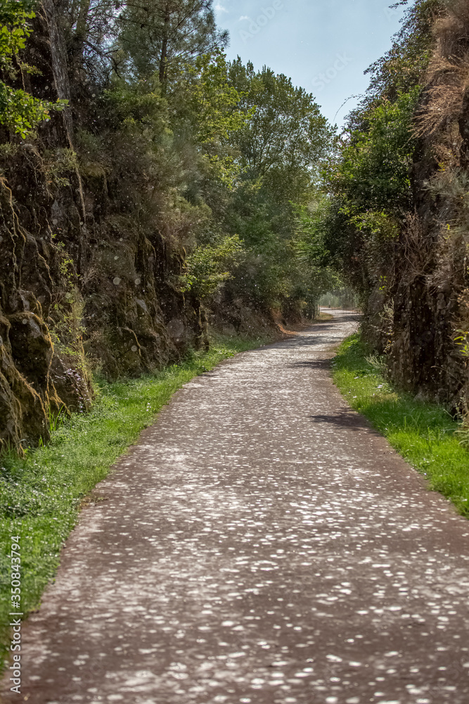 View of rain falling on the ground at the pedestrian and cycle eco path