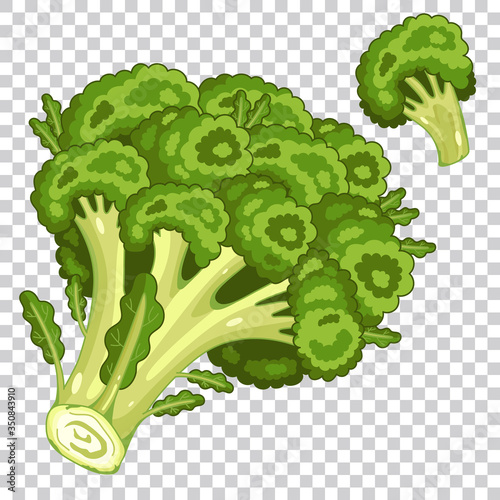 Broccoli isolated, Broccoli on transparent background. Broccoli icon, vector Broccoli. Organic food, farm food. vegetable from the garden. Broccoli cartoon, fresh Broccoli.