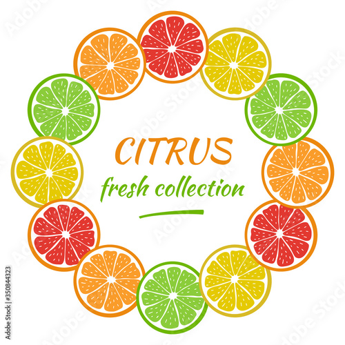 Round frame with sliced pieces of citrus fruit. Bright wreath of tropical fruits. Decoration for text. Stock vector illustration. Ideas for modern designs of banners, cards, menus, print, packaging.