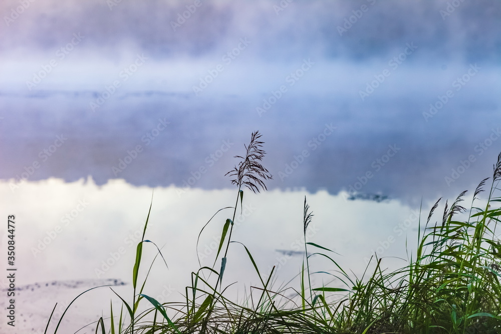 Mist over the lake dawn early morning in the summer
