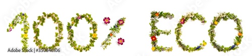 Flower, Branches And Blossom Letter Building English Word 100 Percent Eco. White Isolated Background © Nelos