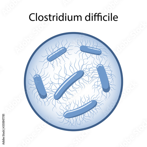 Clostridium difficile in magnifying glass. The causative agent of intestinal infection. Microbiology. Vector illustration in flat style isolated over white background photo