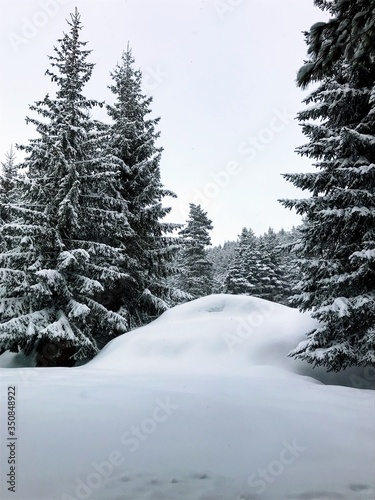 Winter in Rila Mountain in Bulgaria near to ski zone.