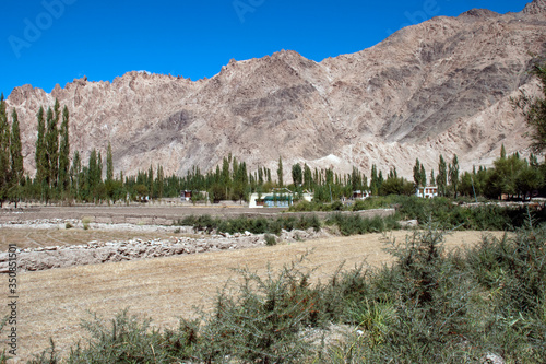 landscape at nimo village ladakh india photo