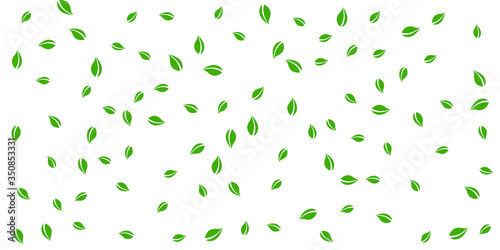 Falling green leaves. Fresh tea random leaves flyi