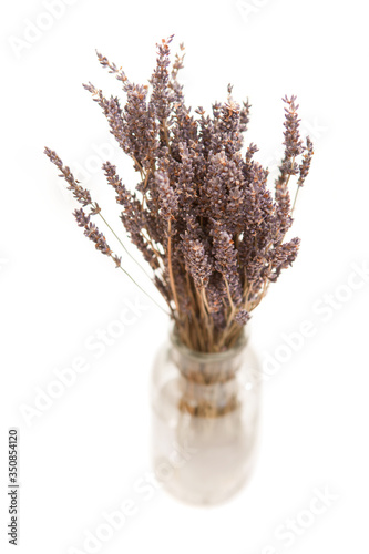 bundle of dry lavender in a clear glass jar on white background