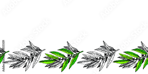 seamless pattern with leaves
