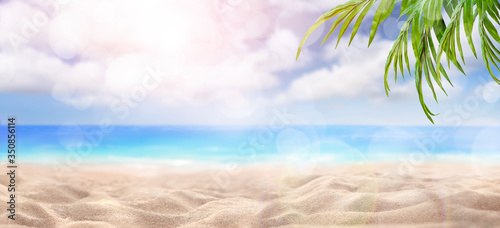A summer vacation, holiday background of a tropical beach and blue sea and white fluffy clouds, sun flare and green leaves of a palm tree. © Duncan Andison