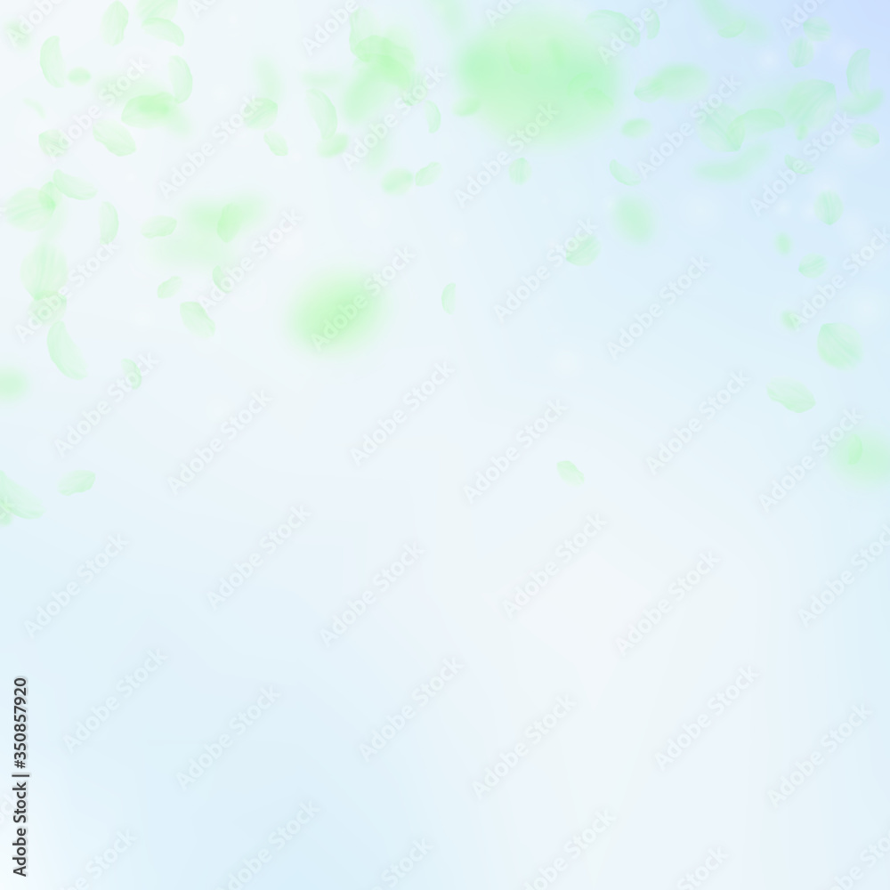 Green flower petals falling down. Incredible roman Green flower petals falling down. Incredible roman