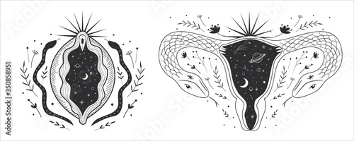 abstract image of a vagina. outer space, planets, moon and stars. snake tempter and plant herbs. printing on fabric and paper. radical femenism. vector
