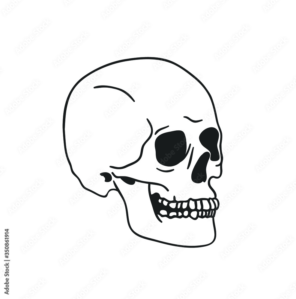 Hand drawn illustration skull.Vector art drawing Hand drawn illustration skull.Vector art drawing