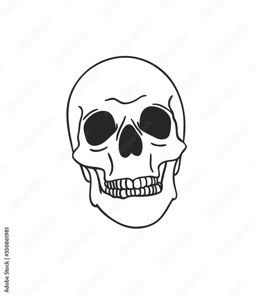 Hand drawn illustration skull.Vector art drawing