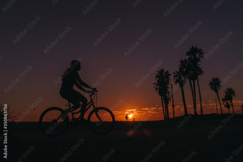 Obraz premium Venice beach california