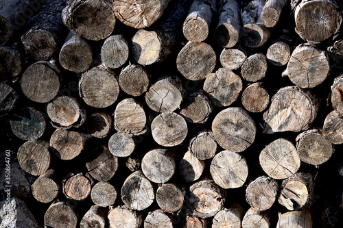 Huge Pile of Cut Woods Logs
