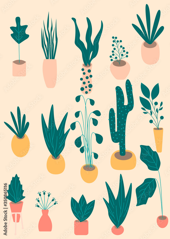 Various kind of indoor houseplants growing in pots, home decorations flora decor. Flat design style vector illustration set. Growth of plants isolated on white, made in pastel colors Various kind of indoor houseplants growing in pots, home decorations flora decor. Flat design style vector illustration set. Growth of plants isolated on white, made in pastel colors