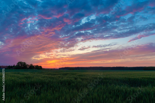 Sunset over the wheat field on the village edge