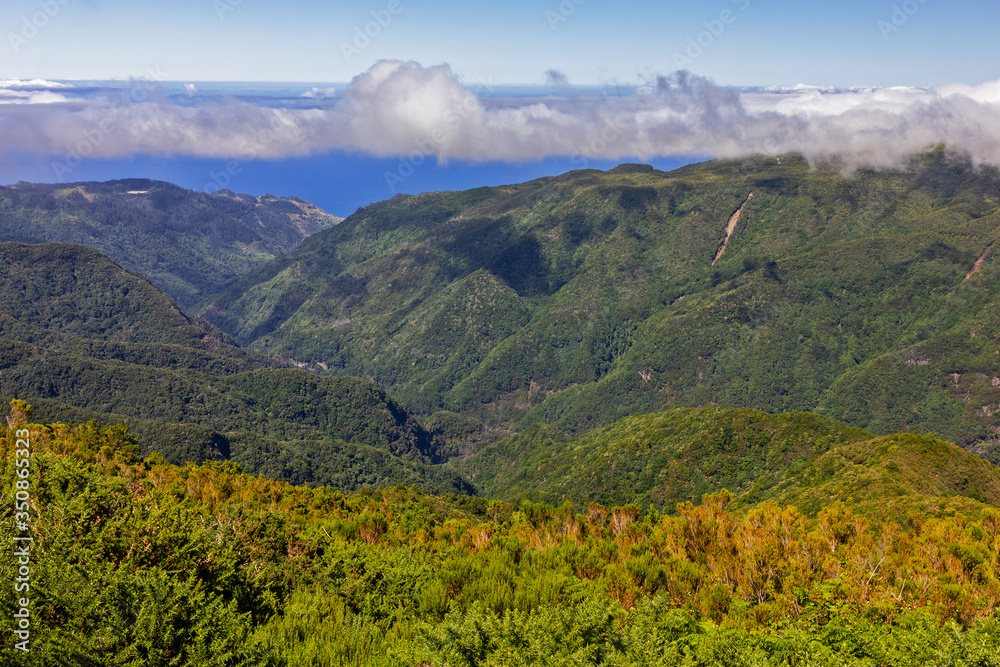 Madeira island green hills, Portugal