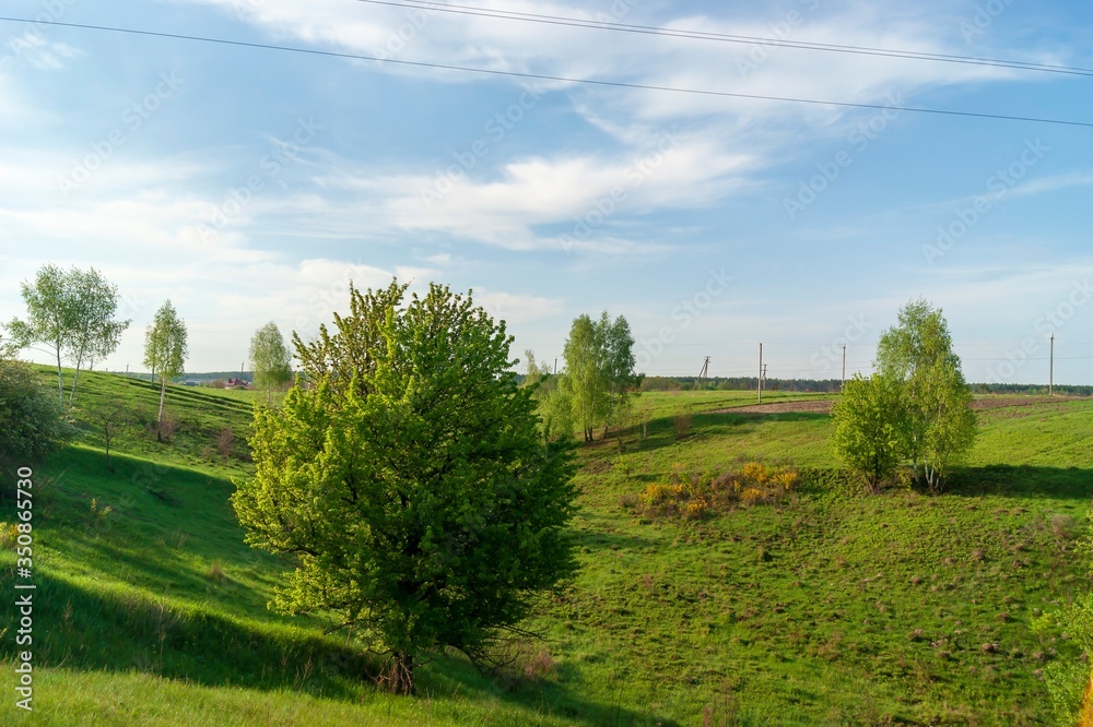Sunny may morning. Meadow, trees and blue sky with clouds Sunny may morning. Meadow, trees and blue sky with clouds