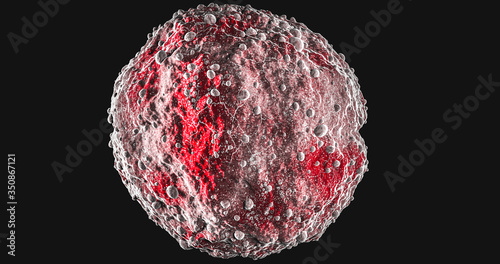 Science Photo of bacteria A coccus is any bacterium or archaeon that has a spherical, ovoid, or generally round shape 3d rendering photo