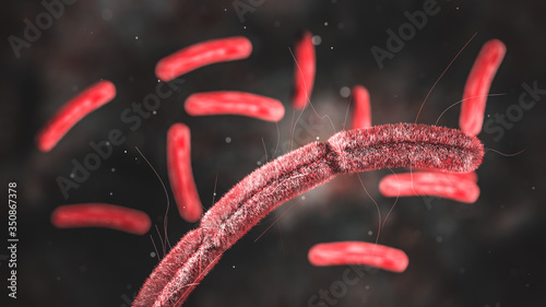 Science Photo of bacteria Escherichia coli, also known as E. coli, is a Gram-negative, facultative anaerobic, rod-shaped, coli-form bacterium of the genus Escherichia 3d rendering  photo