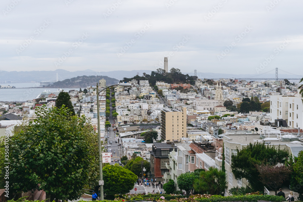 View of city of San Francisco from Russian hills.
