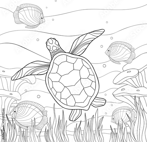 Big ocean turtle, cute striped fishes in  the underwater world with algae, sand, bubbles on white isolated background. Good for kids and adults coloring book pages.