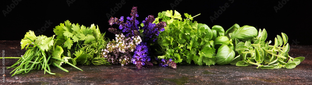Fresh herbs lay on a rustic background. Basil, flower sage, thyme, oregano, dill, chives, parsley and coriander. Fresh herbs lay on a rustic background. Basil, flower sage, thyme, oregano, dill, chives, parsley and coriander.
