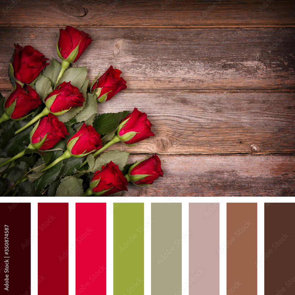 Red rose palette