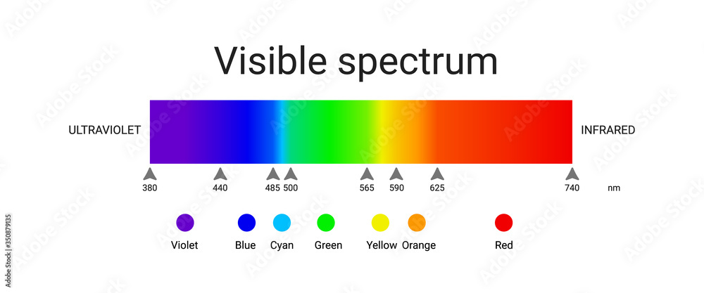 visible spectrum light. infographic of sunlight wavelength. vector