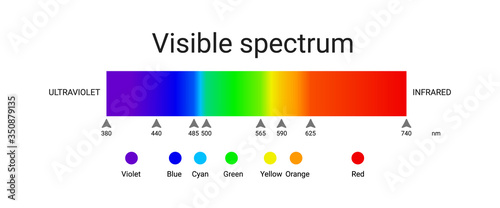Obraz na płótnie visible spectrum light. infographic of sunlight wavelength. vector w salonie