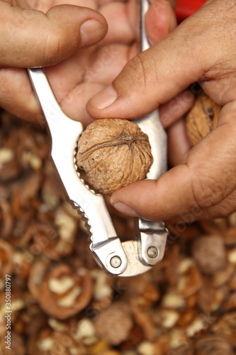 Man cracking walnuts with m...