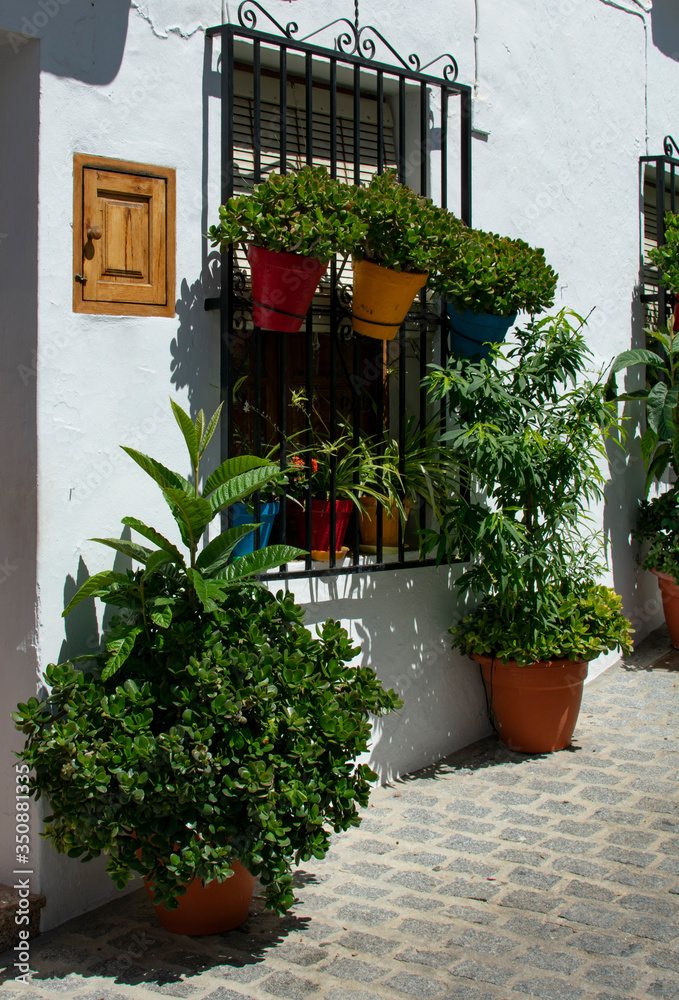 The charming little white village of Frigiliana in southern Spain. Beautiful flowers in pots by a tradititional village house on a summers day. Typical of the heritage and culture of Andalusia.