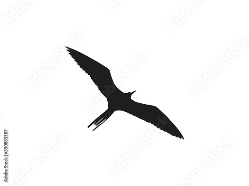 Bird  nature icon. Vector illustration  flat design.