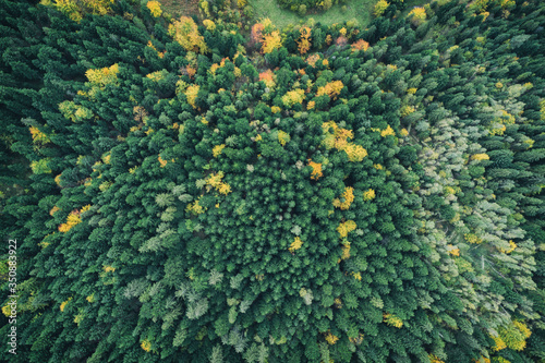 Fototapeta Naklejka Na Ścianę i Meble -  Beskid mountains in Zywiec Poland, Polish mountains and hills aerial drone photo