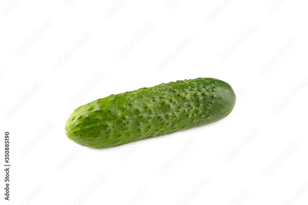 Green cucumber isolated on white background. Top view Green cucumber isolated on white background. Top view