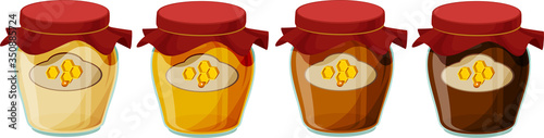 Vector illustration of various kinds of honey in glass jars isolated on white background