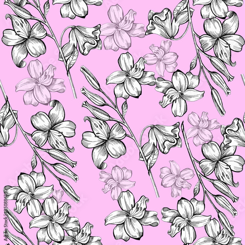 lily pattern  pink background