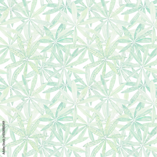 Seamless pattern of hand painted watercolor Lupine leaves. Pastel green color illustration. Tropical leaves theme.