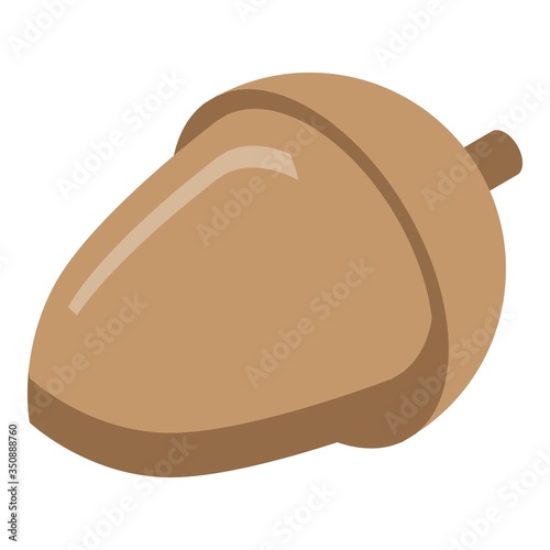 Oak acorn icon. Isometric of oak acorn vector icon for web design isolated on white background