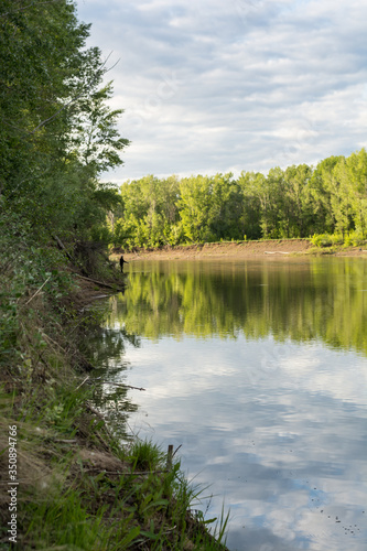 river in the forest